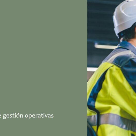 Programa para Líderes Operativos