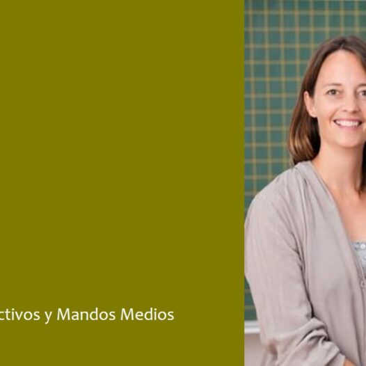 Liderazgo en Instituciones Educativas