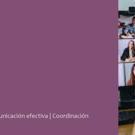 Liderazgo de equipos virtuales