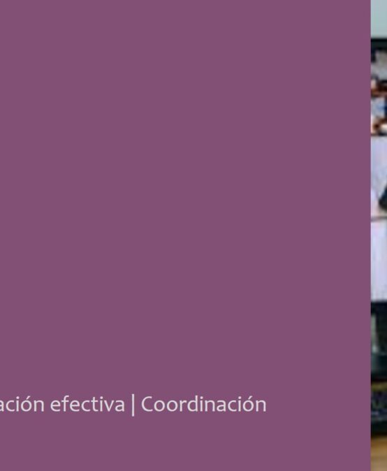 Liderazgo de equipos virtuales