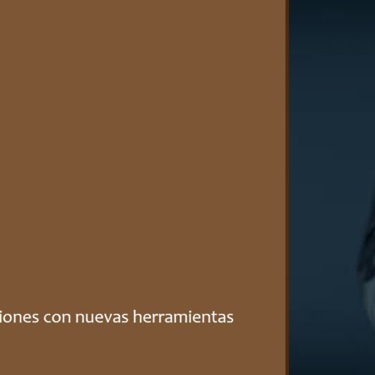 Toma de Decisiones con Inteligencia Artificial