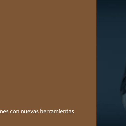 Toma de Decisiones con Inteligencia Artificial