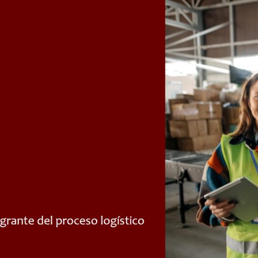 Logística Orientada al Cliente