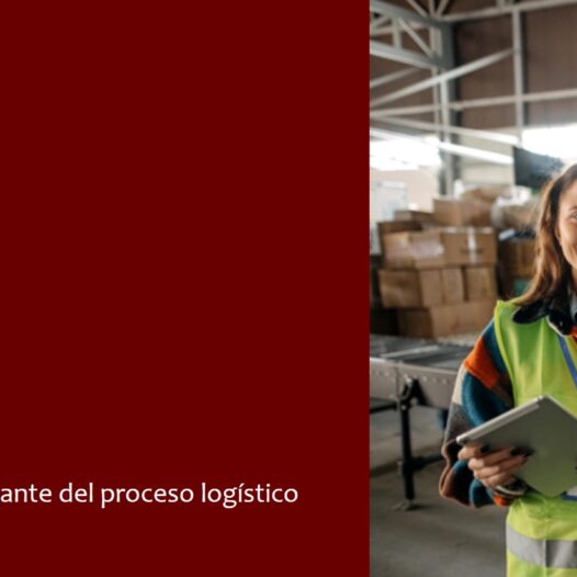 Logística Orientada al Cliente