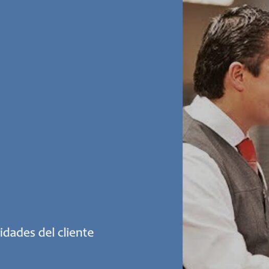 Gestión de Servicios Flexibles