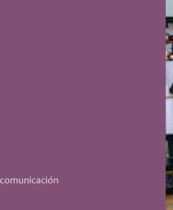 Liderazgo de equipos virtuales